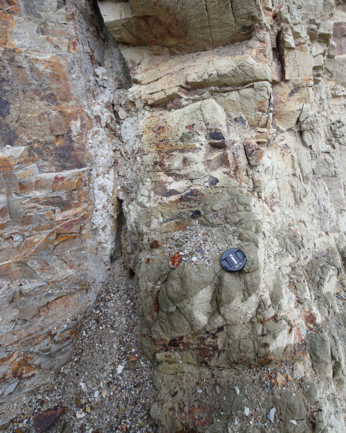 2020: Nobbys Head is an outcrop of Permian coal measures at the entrance of the Hunter River. Origin