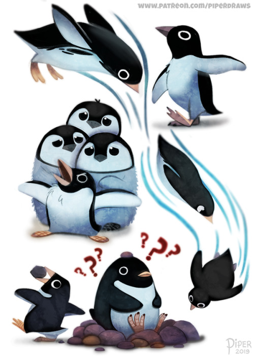 cryptid-creations:#2559. Adelie Penguins - Designs Prints for sale: www.cryptidcreation