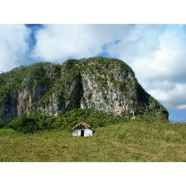 voodoomommajuju:  Pinar del rio #Cuba #unacubalibre #cubalibre #vivacubalibre #love