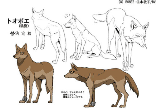 blackbackedjackal:Wolf’s Rain (2003) Character Sheets  