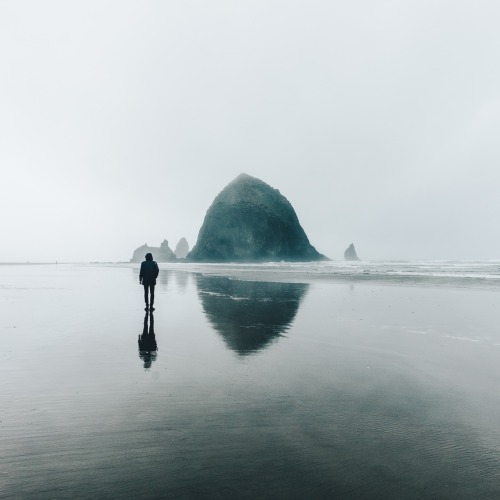 bryandaugherty:Haystack Rock