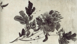 iamjapanese:  Xu Wei（徐渭 Chinese, 1521-1593）