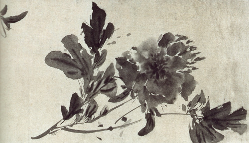 iamjapanese:Xu Wei（徐渭 Chinese, 1521-1593）墨花圖