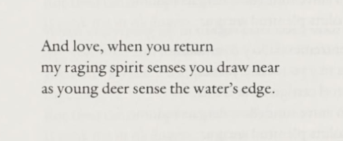 violentwavesofemotion:Rosario Castellanos, from The Selected Poems of R. C.; “I Taste You First In T