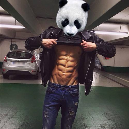 Not so fast, panda, first let us check your abs. Then, you can get in your car and speed off. Hawtti