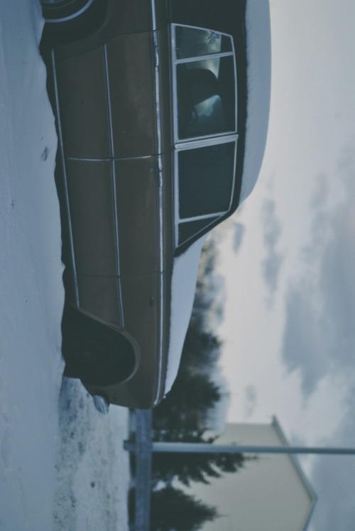 teffthedon: + [30-12-12] & [2-1-13] - Snowdaze, Upstate, NY. // revisiting my favourite snow day