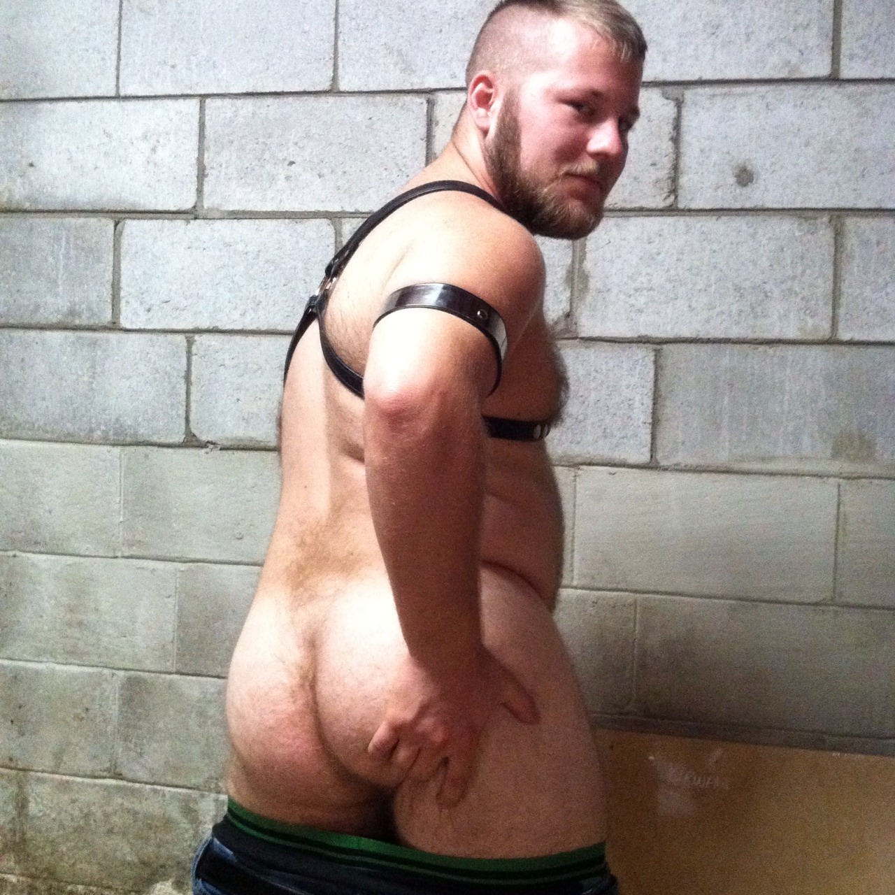 gaygeeksnsfw:  My leather cub pics.