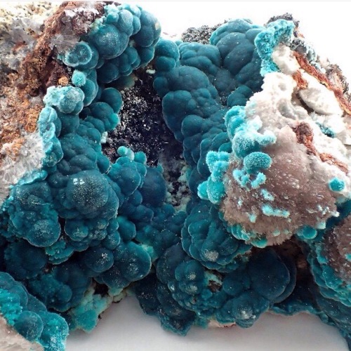 mineraliety:Luscious teal velvety Rosasite by structureminerals_ /// #teal #velvet #whyiloveminerals