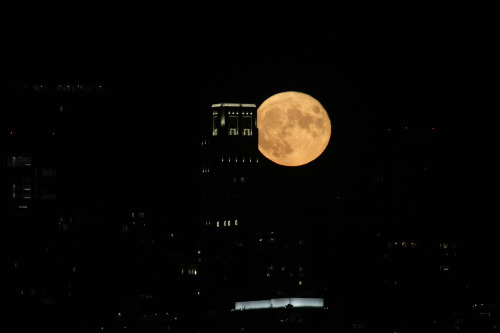 highways-are-liminal-spaces: The Sturgeon Moon rises over Chicago