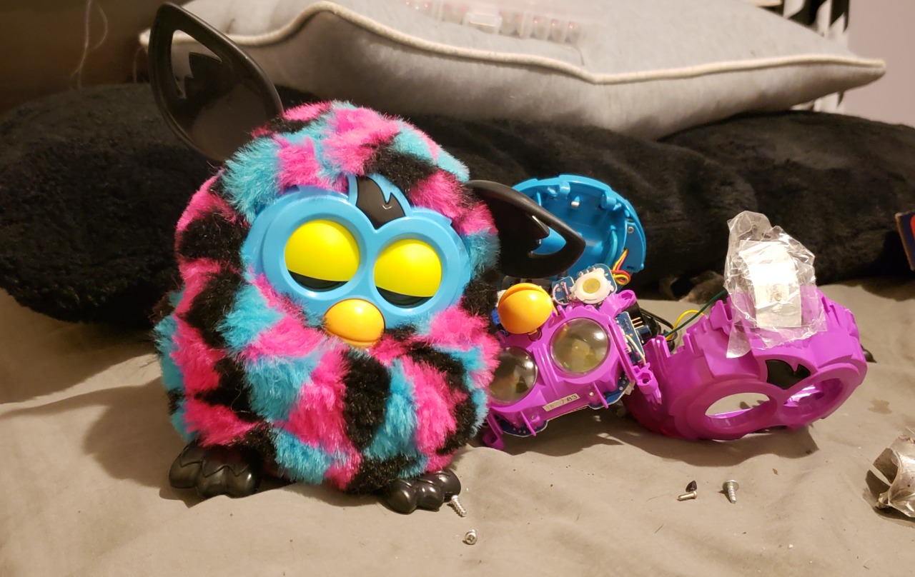 Begin your FURBY BOOM app adventure How you treat FURBY will