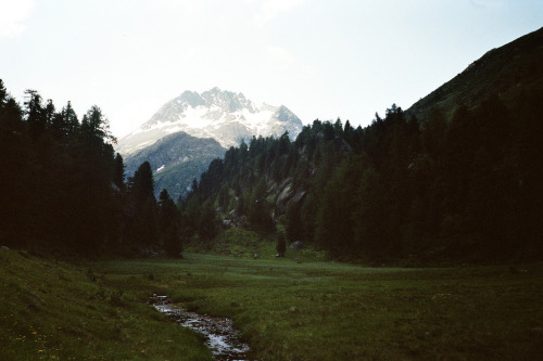  Vintage and Nature 