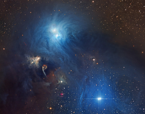 into-theuniverse:  Blue Reflection Nebulae: NGC 6726, NGC 6727, and IC 4812  Yellow Nebula NGC 6729 and R Coronae Australis