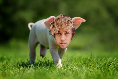 Pork.
