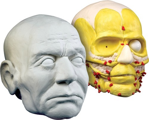 CSI Facial Reconstruction Kit