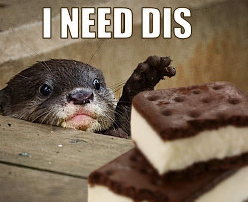 You otter get some