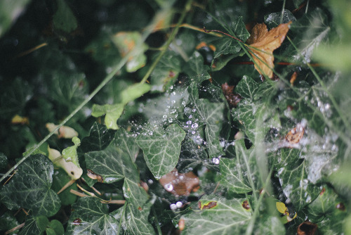 sophiekawalek:  Summer storms. 7/23/2013 adult photos