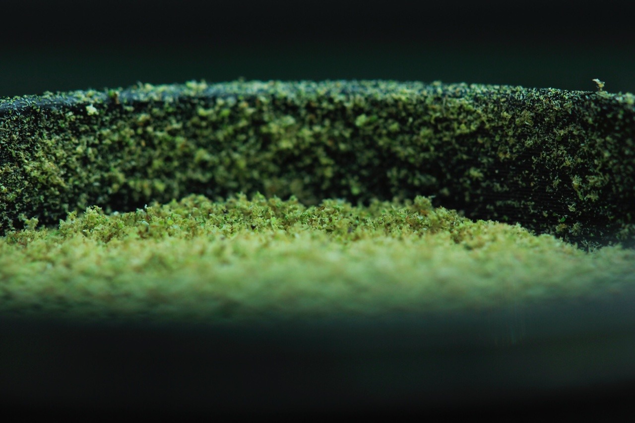 stoner-in-disguise:  a-high-ass-ginger:  Kief 😍  This is my kinda porn 