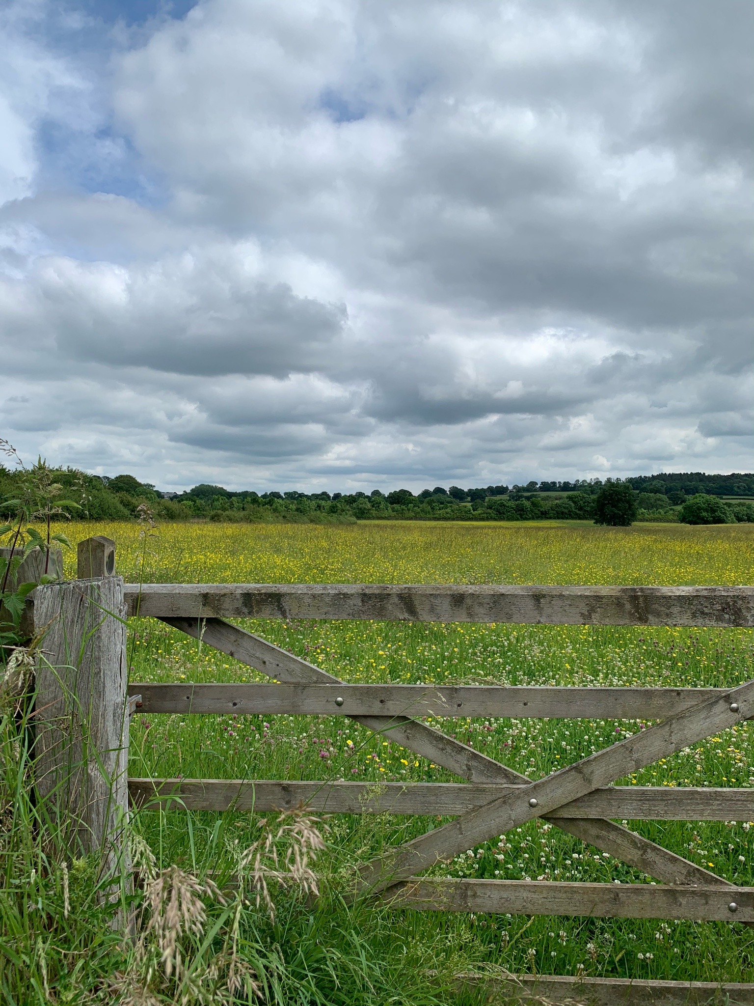 appreciateeverything-deactivate:19/06/21Worcestershire, UK
