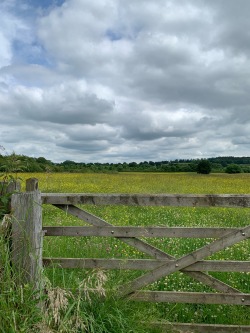 appreciateeverything-deactivate:19/06/21Worcestershire, UK