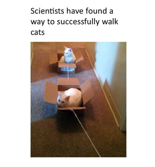 tastefullyoffensive:  (image via yenyfur)