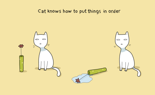 boredpanda:    10 Benefits Of Having A Cat  