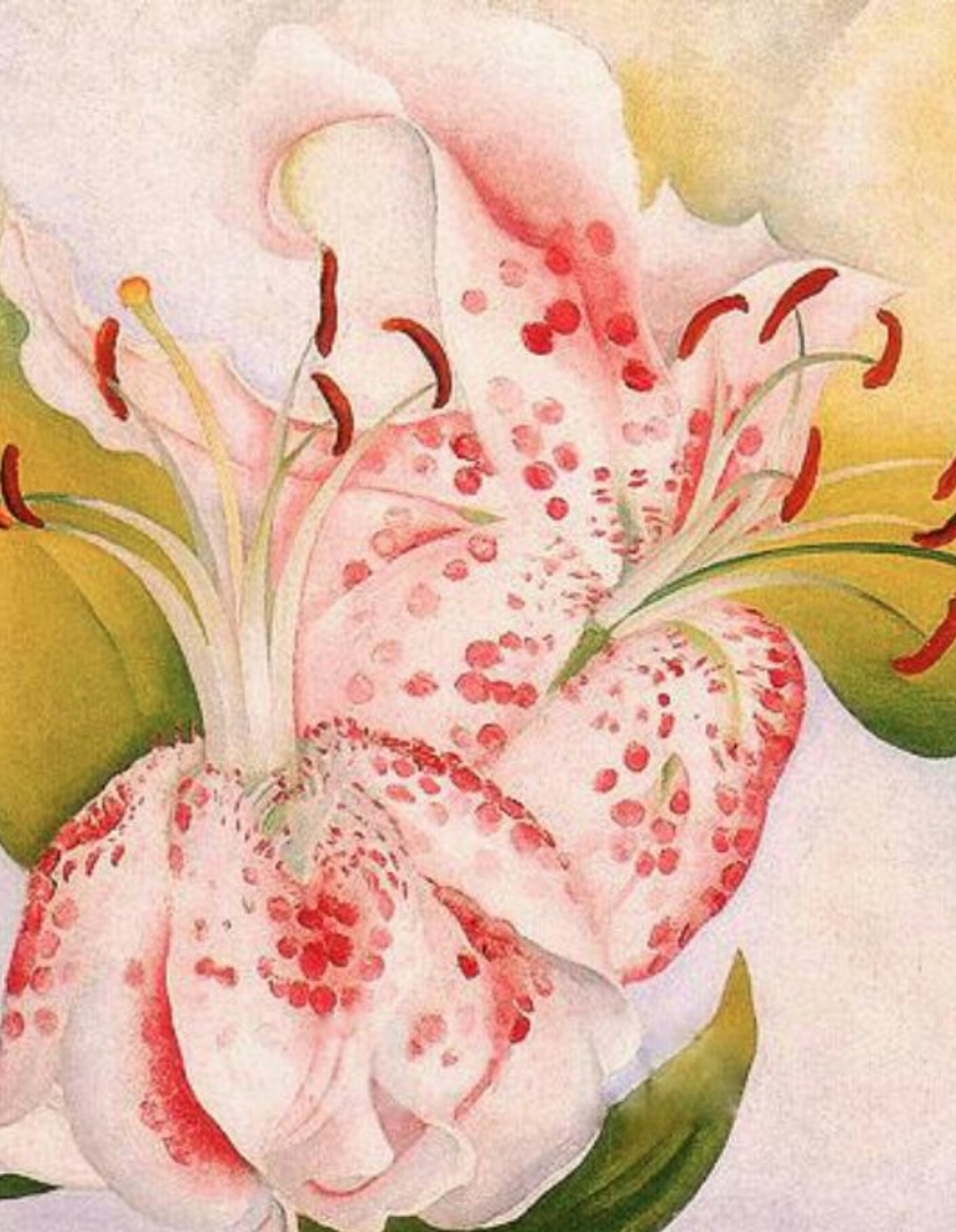 ilbluprofondodelmare: Pink, by Georgia Totto O'Keeffe
