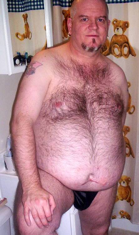 Hollandbear