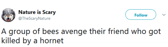 indiyanajones:  drankinwatahmelin:  justanothertauruswoman:  wronglynamedbonnie:   onlyblackgirl:   gettingplowed:   thatpettyblackgirl:   …not on our block bitch…   Knuck if you buck bitch.    If i remember correctly, they’re mini-swarming to warm