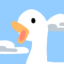 goose-dude