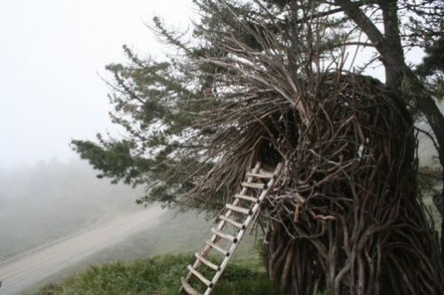 catsandcunts: odditiesoflife: Spirit Nests  California-based artist Jayson Fann designs and cre