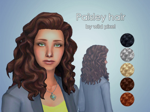 Paisley hair by wild-pixel ported to TS2. Slightly higher tris(poly) count approx. 7200. From child 