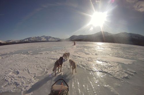 Fish Lake - Bonneville Lakes 