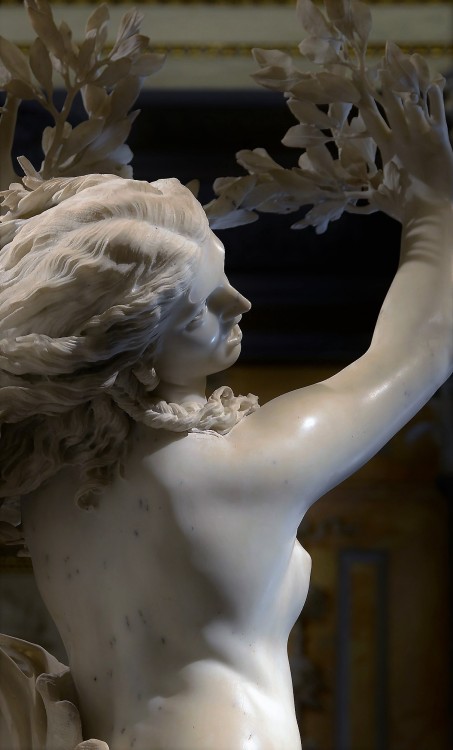 Apollo and Daphne (detail) Gian Lorenzo BerniniPhoto:  Alvesgaspar 