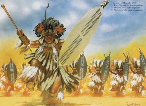 thelastdiadoch:The ZulusOsprey - Elite Series: The Zulusby Ian Knight  (Author), Angus McBride (Illu