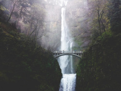 olympusatnoon:  Multnomah Falls III