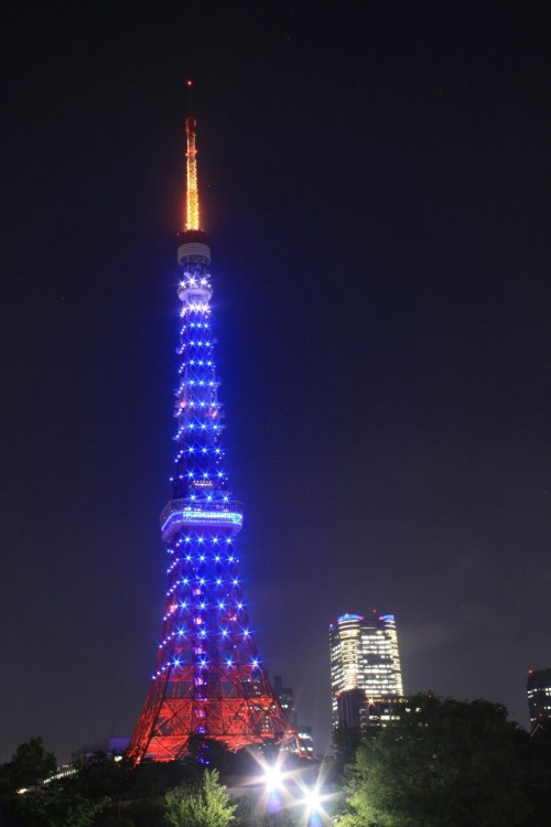 【４８５】蹴球の 日本に因み 東京の 紅き象徴 蒼く染まれり