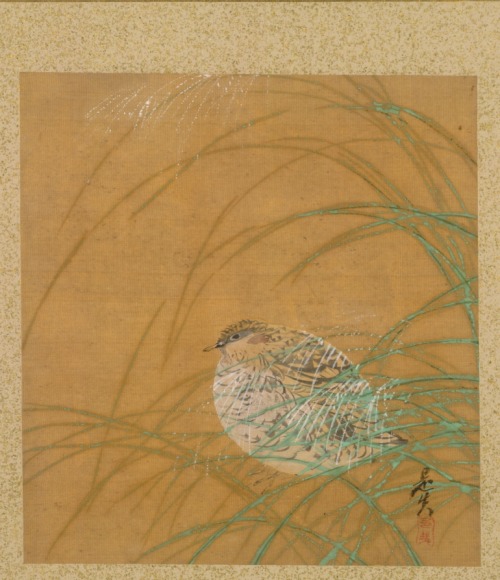 cma-japanese-art: Leaf from Album of Seasonal Themes: Shoreline with Birds, Shibata Zeshin, 1847, Cl