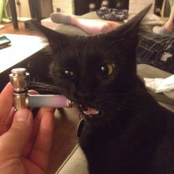reddlr-trees:  Just wanted a picture of the pipe. Got something much better.