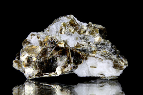 Phlogopite by Henri Koskinen . Sample from Mustio carbonate quarry, Finland.