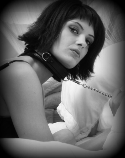 xhania-x:  (via Axman : tira)