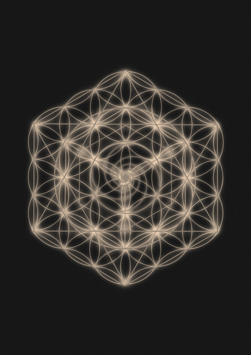danielcook:  Universal Sacred Geometry ArtBy Daniel Watts2014 
