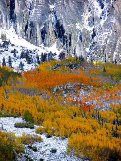 sixtysexyandfit:  Awesome places- Colorado