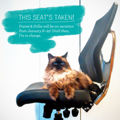 THIS SEAT’S TAKEN! At Frame & Follie, we’re starting the year off on a very happy no