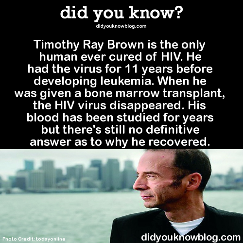 did-you-kno:  Timothy Ray Brown is the only human ever cured of HIV. He had the virus