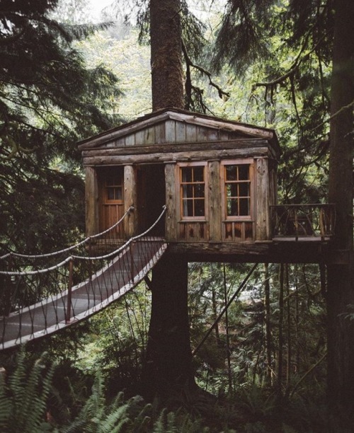 maybe-you-need-this:(Source)