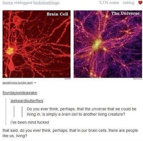 iamelijahj:  bruh…..