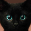 mysticalkitty
