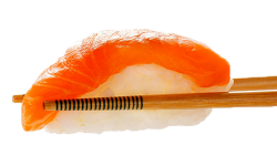 nuggetcafe:salmon nigiri