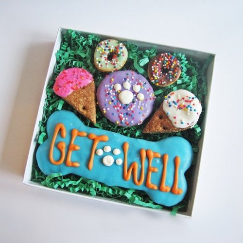 Get Well Dog Treat Gift Box //DogParkPublishing