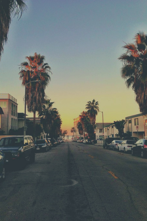 infamousgod: Venice Beach By KPbIM©